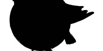 Животные 2509