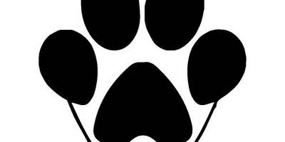 Животные 2010