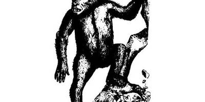 Животные 2845