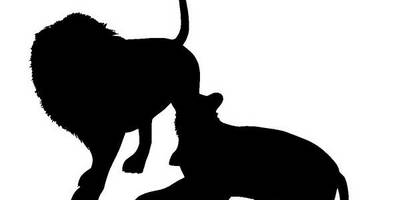 Животные 3536