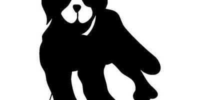 Животные 2409