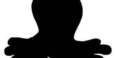 Животные 3724