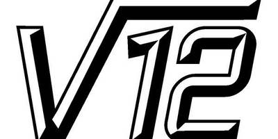 Виниловая наклейка на авто v12 598