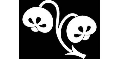 Японский узор 872