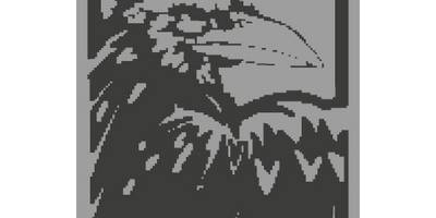 Raven logo