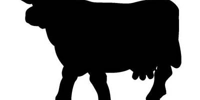 Животные 1217