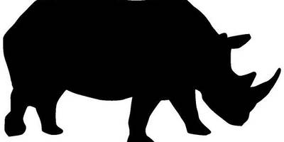 Животные 1542