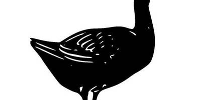 Животные 825