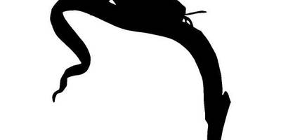 Животные 1061