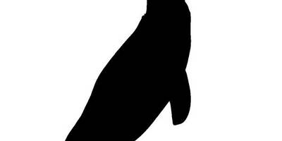 Животные 4187