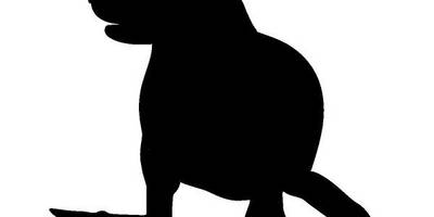 Животные 838