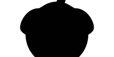 Животные 1677