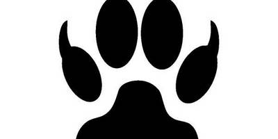 Животные 626