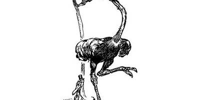 Животные 756