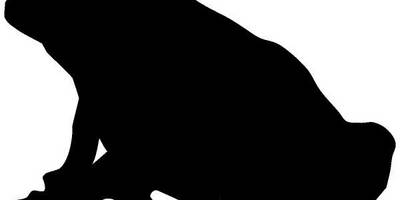 Животные 3824