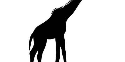 Животные 1711