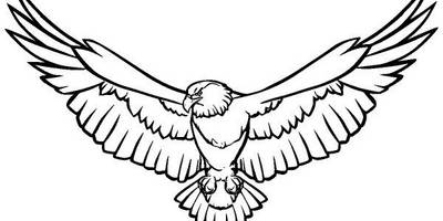 Животные 3741