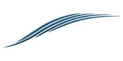 Виниловая наклейка на авто 457