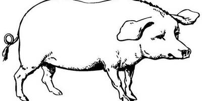 Животные 273