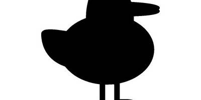 Животные 3554