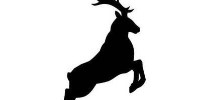 Животные 1486