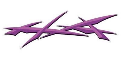 Виниловая наклейка на авто 172