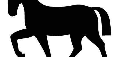 Животные Лошадь 772