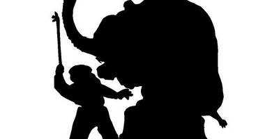 Животные 2503