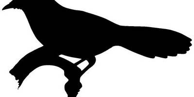 Животные 943