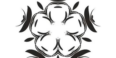 Орнамент цветы 192