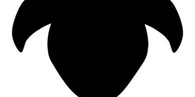 Животные 899