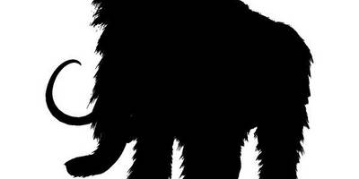 Животные 4029