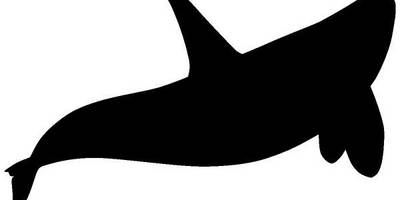 Животные 1934