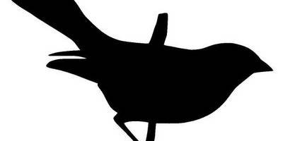 Животные 482