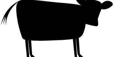 Животные 2834