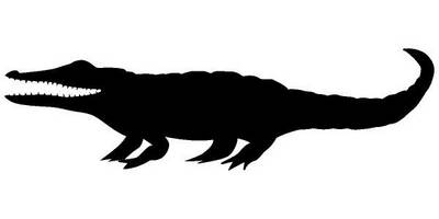 Животные 3649