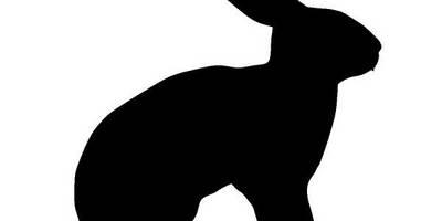 Животные 4224