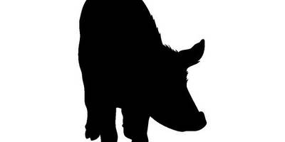 Животные 292