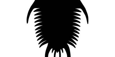 Животные 166