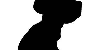 Животные 100