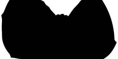 Животные 742