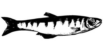 Животные 2675