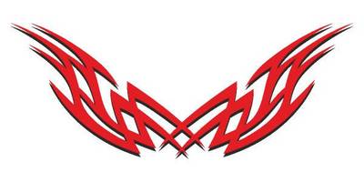 Виниловая наклейка на авто 350