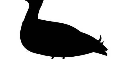 Животные 221