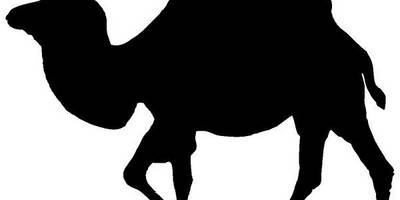 Животные 3520