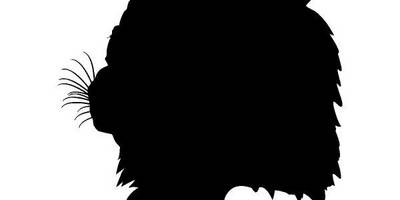 Животные 918