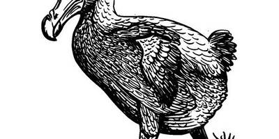 Животные 586