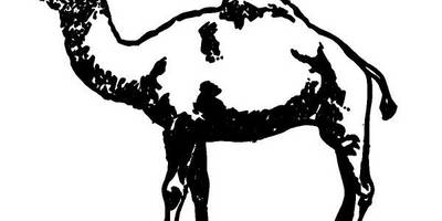 Животные 2497