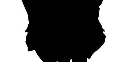 Животные 1538