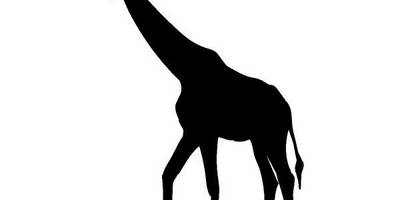 Животные 4103